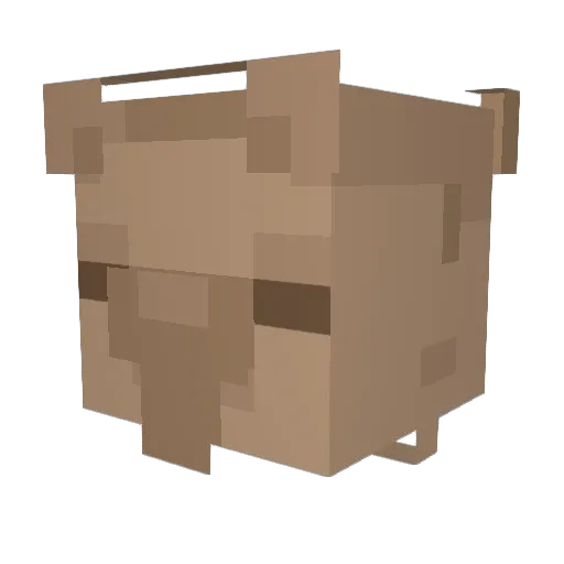 noob_fart_64 Minecraft avatar head, 3D render