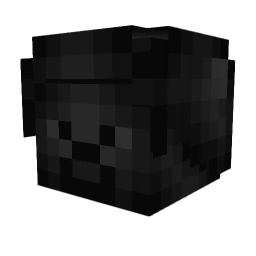 noob_quadrix Minecraft avatar head, 3D render