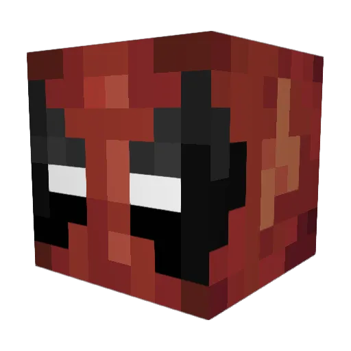 noob_slayer28 Minecraft avatar head, 3D render