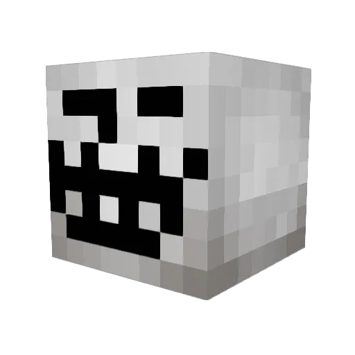 noobasaurus123 Minecraft avatar head, 3D render
