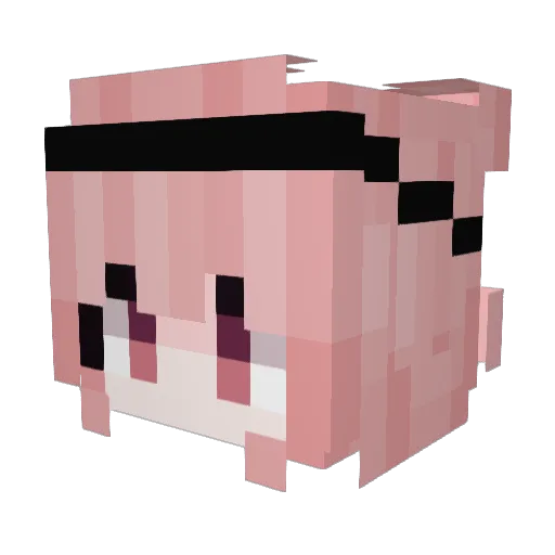 noobax_ell Minecraft avatar head, 3D render