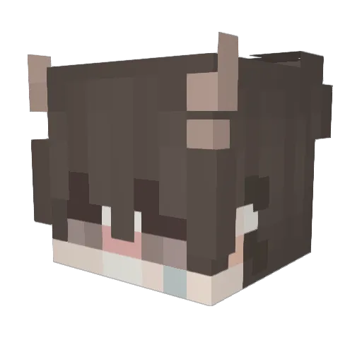 noobcol Minecraft avatar head, 3D render