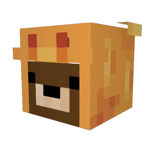 noober1231 Minecraft avatar head, 3D render
