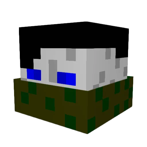 noobhunter456 Minecraft avatar head, 3D render