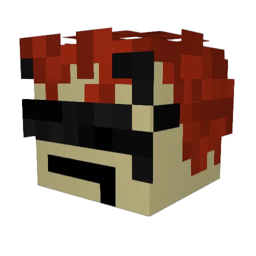 noobie4546 Minecraft avatar head, 3D render