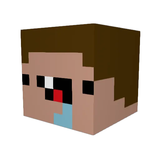 noobies2007 Minecraft avatar head, 3D render