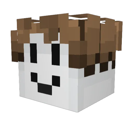 noobiscool2 Minecraft avatar head, 3D render