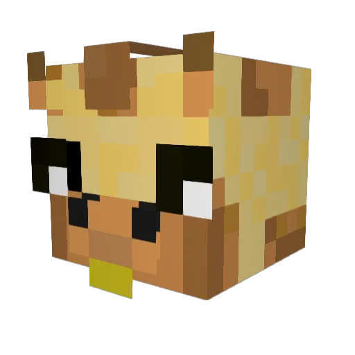 noobpro13246 Minecraft avatar head, 3D render