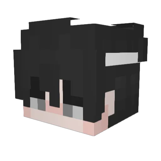 noobstreamer Minecraft avatar head, 3D render