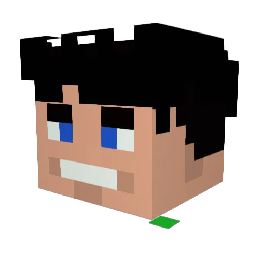 noobtendo64 Minecraft avatar head, 3D render