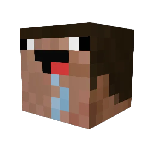 nooby2006 Minecraft avatar head, 3D render