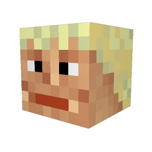 nooch_ Minecraft avatar head, 3D render