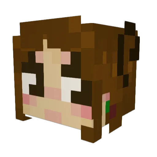 nooddles Minecraft avatar head, 3D render
