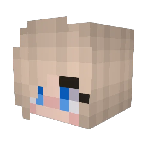noodle_sok Minecraft avatar head, 3D render