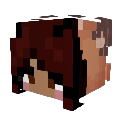noodledia Minecraft avatar head, 3D render