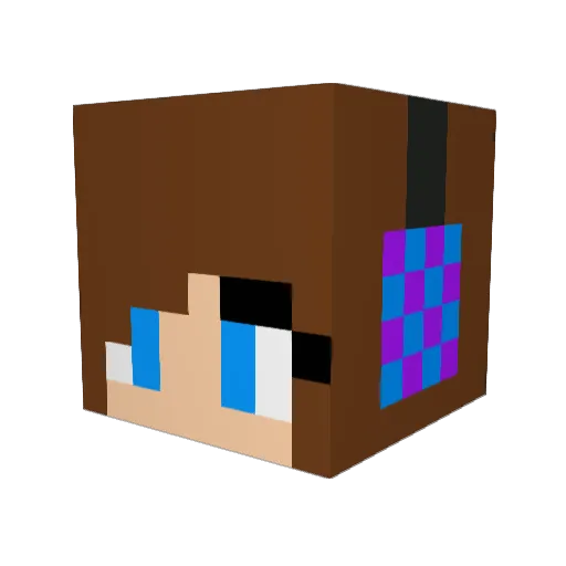 noodlepoodle22 Minecraft avatar head, 3D render