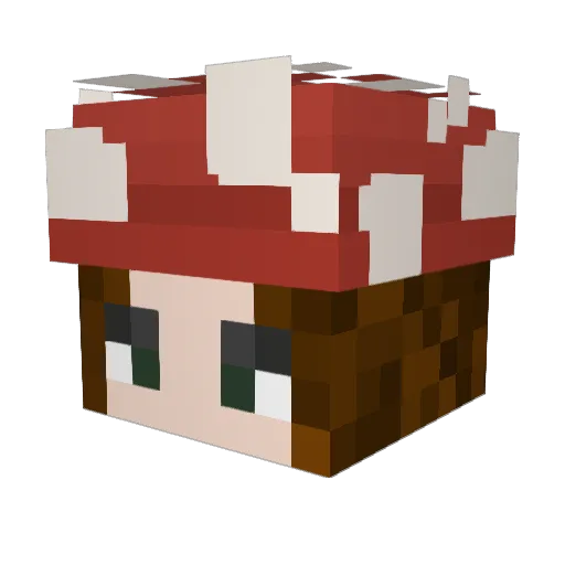 noodlesouple Minecraft avatar head, 3D render