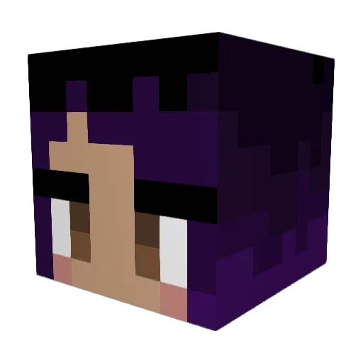 noodletunnel Minecraft avatar head, 3D render