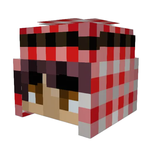 nooiccee Minecraft avatar head, 3D render