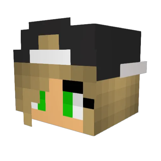 noompje001 Minecraft avatar head, 3D render