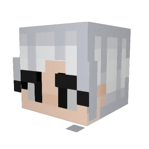 nooob1344 Minecraft avatar head, 3D render