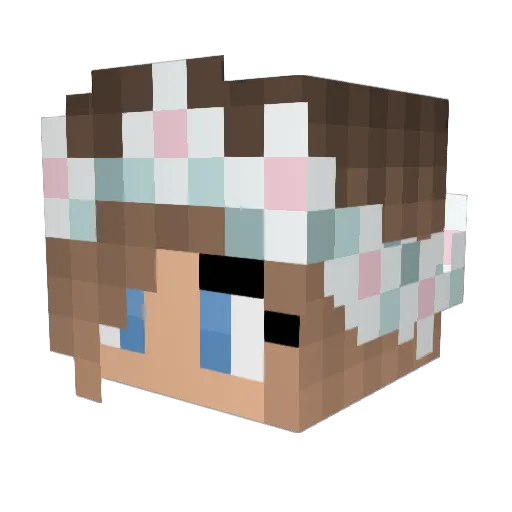 nooona420 Minecraft avatar head, 3D render