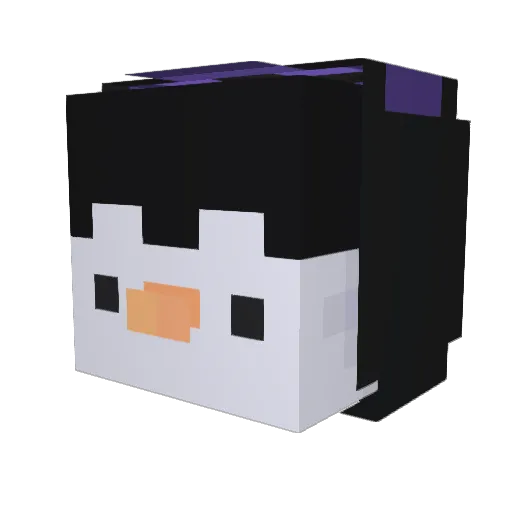 nooooskeletorrrr Minecraft avatar head, 3D render