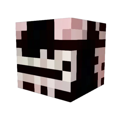 noopa_ Minecraft avatar head, 3D render