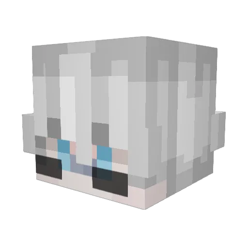 noopop00 Minecraft avatar head, 3D render