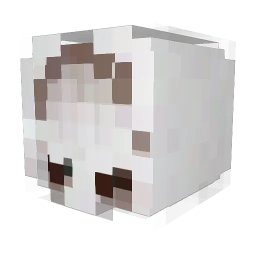 nooq4oz_ Minecraft avatar head, 3D render