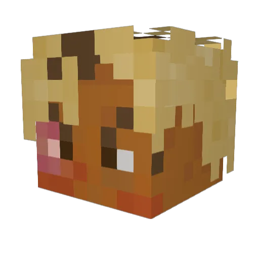 noor800 Minecraft avatar head, 3D render