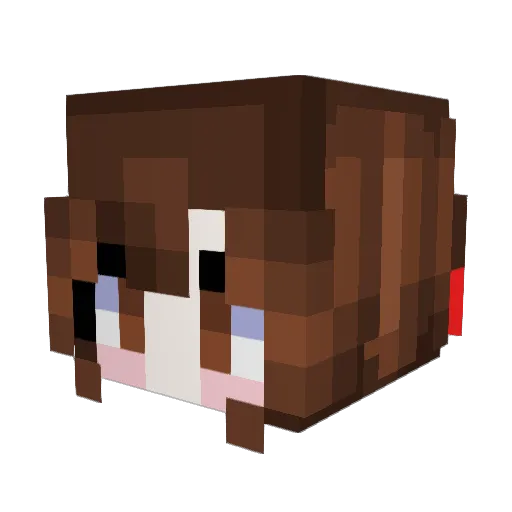 noor_kat42069 Minecraft avatar head, 3D render