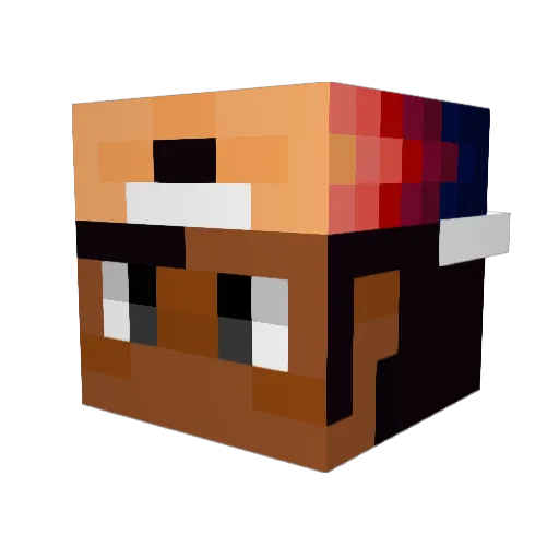 nooshp Minecraft avatar head, 3D render