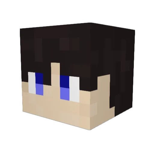 nop25 Minecraft avatar head, 3D render