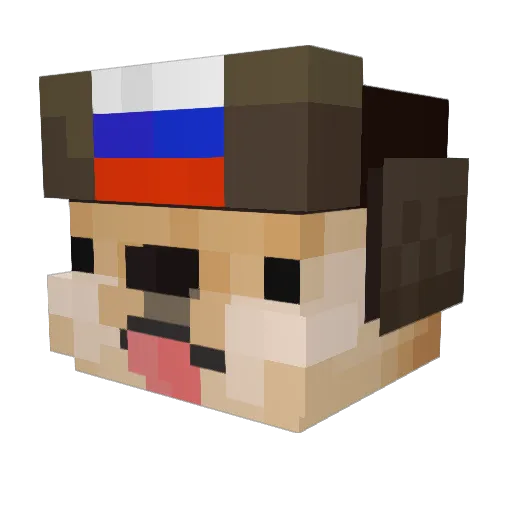 nope4323 Minecraft avatar head, 3D render