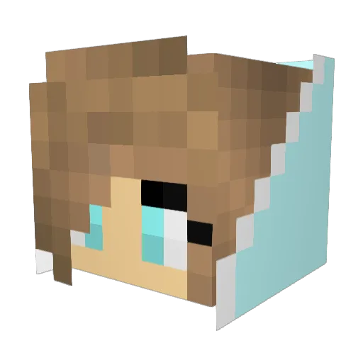 nope_aria Minecraft avatar head, 3D render