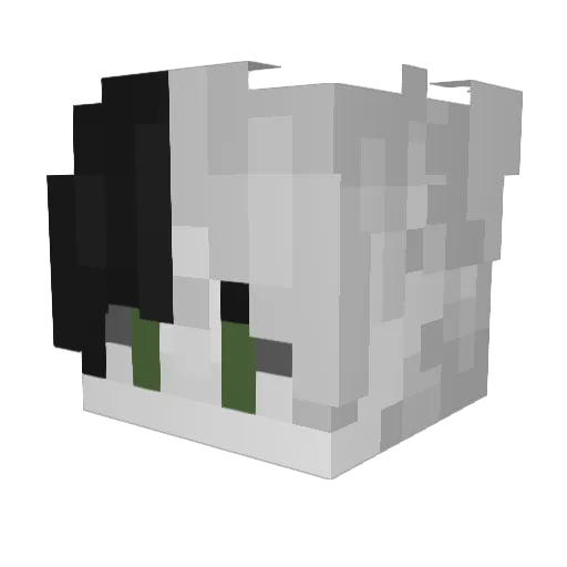 nopehiannee Minecraft avatar head, 3D render