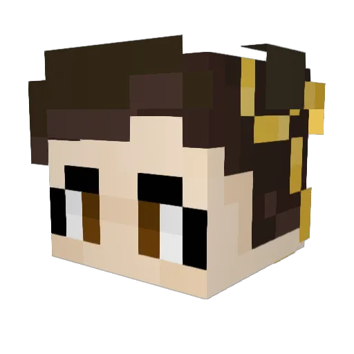 nopl_ Minecraft avatar head, 3D render
