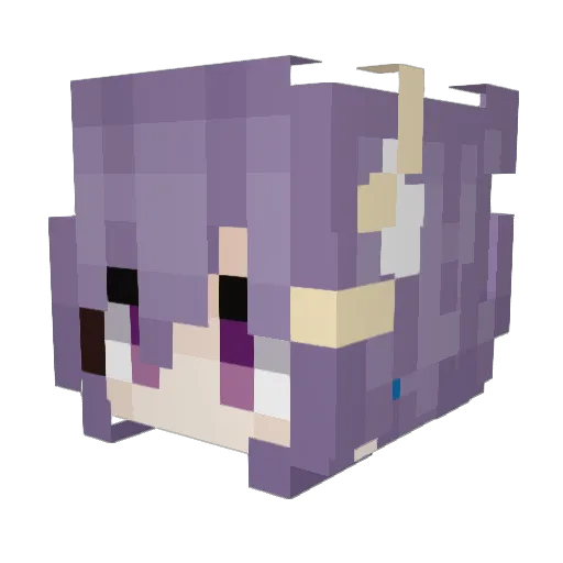 nopoms Minecraft avatar head, 3D render