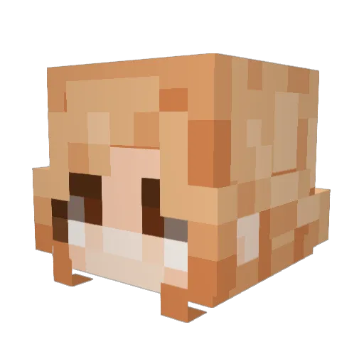 noqtyrn Minecraft avatar head, 3D render