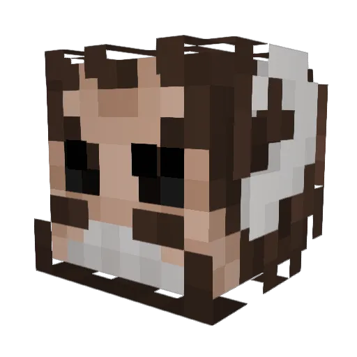 nor120oi Minecraft avatar head, 3D render