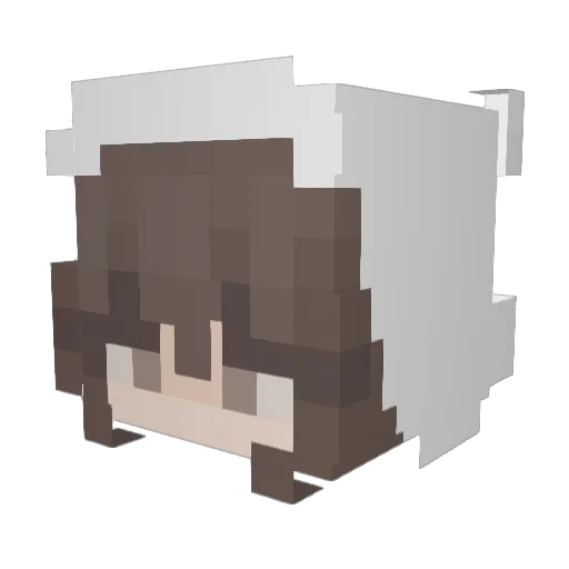 norBi_ Minecraft avatar head, 3D render