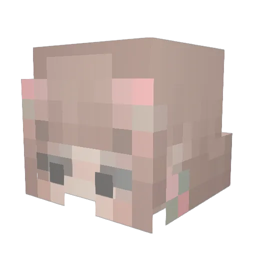 noraawa Minecraft avatar head, 3D render