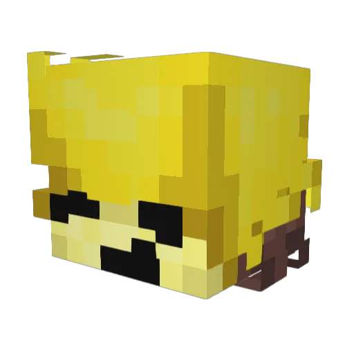 noraczejjan Minecraft avatar head, 3D render