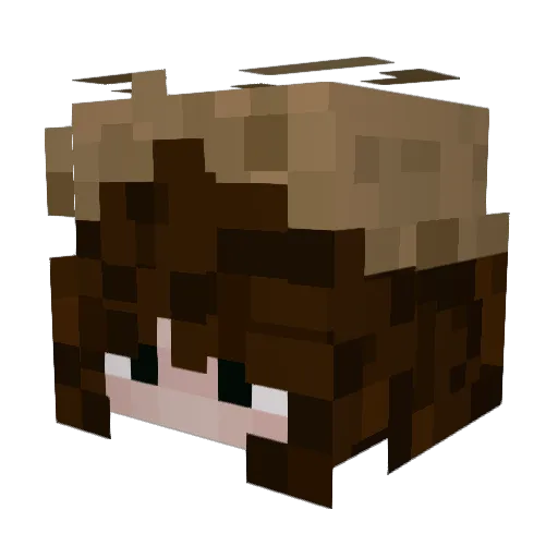 norahhhhh Minecraft avatar head, 3D render