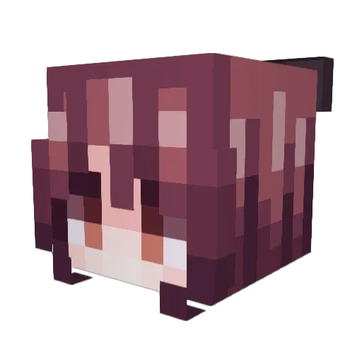 noraisntlilith Minecraft avatar head, 3D render