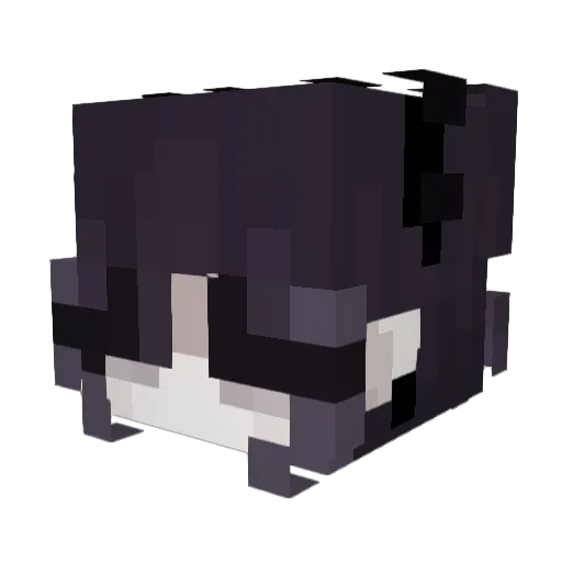 noravyl Minecraft avatar head, 3D render
