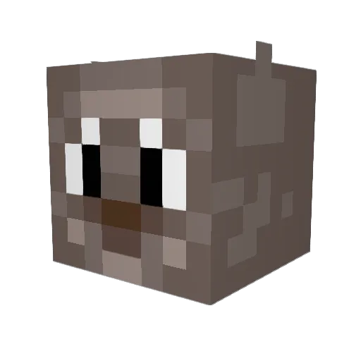 noreus99 Minecraft avatar head, 3D render
