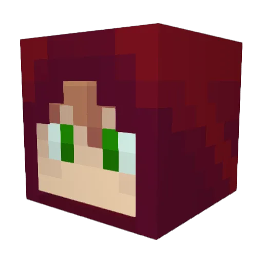 norflaate209 Minecraft avatar head, 3D render