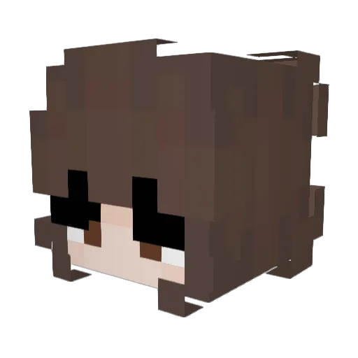 normalN585 Minecraft avatar head, 3D render